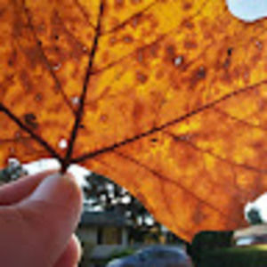 Meet your Posher, Goin up